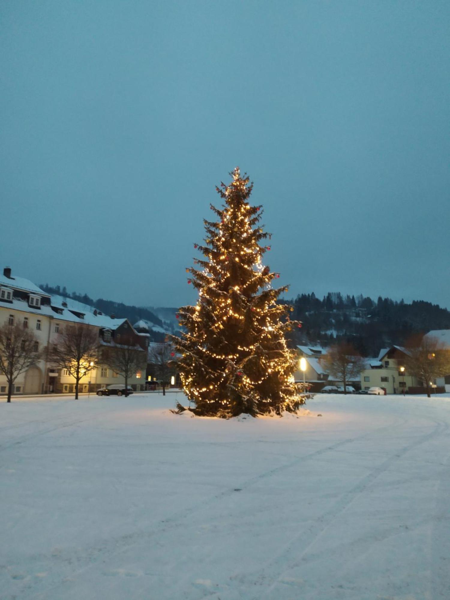 Ferienwohnung Steinachblick Steinach  Buitenkant foto