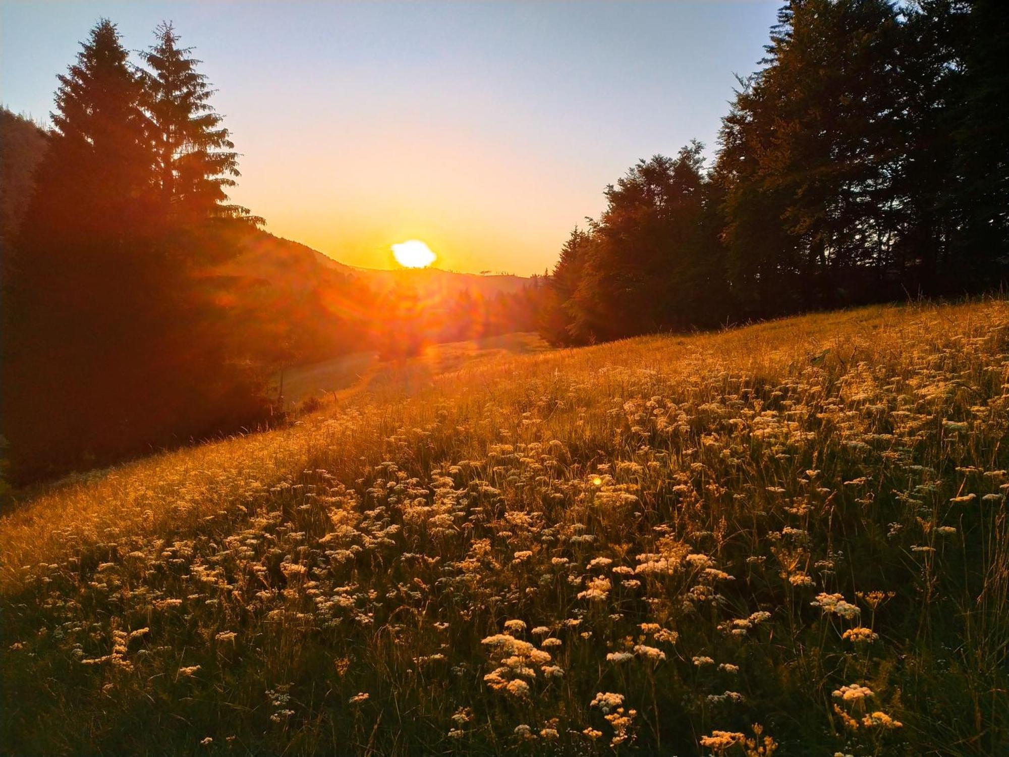 Ferienwohnung Steinachblick Steinach  Buitenkant foto