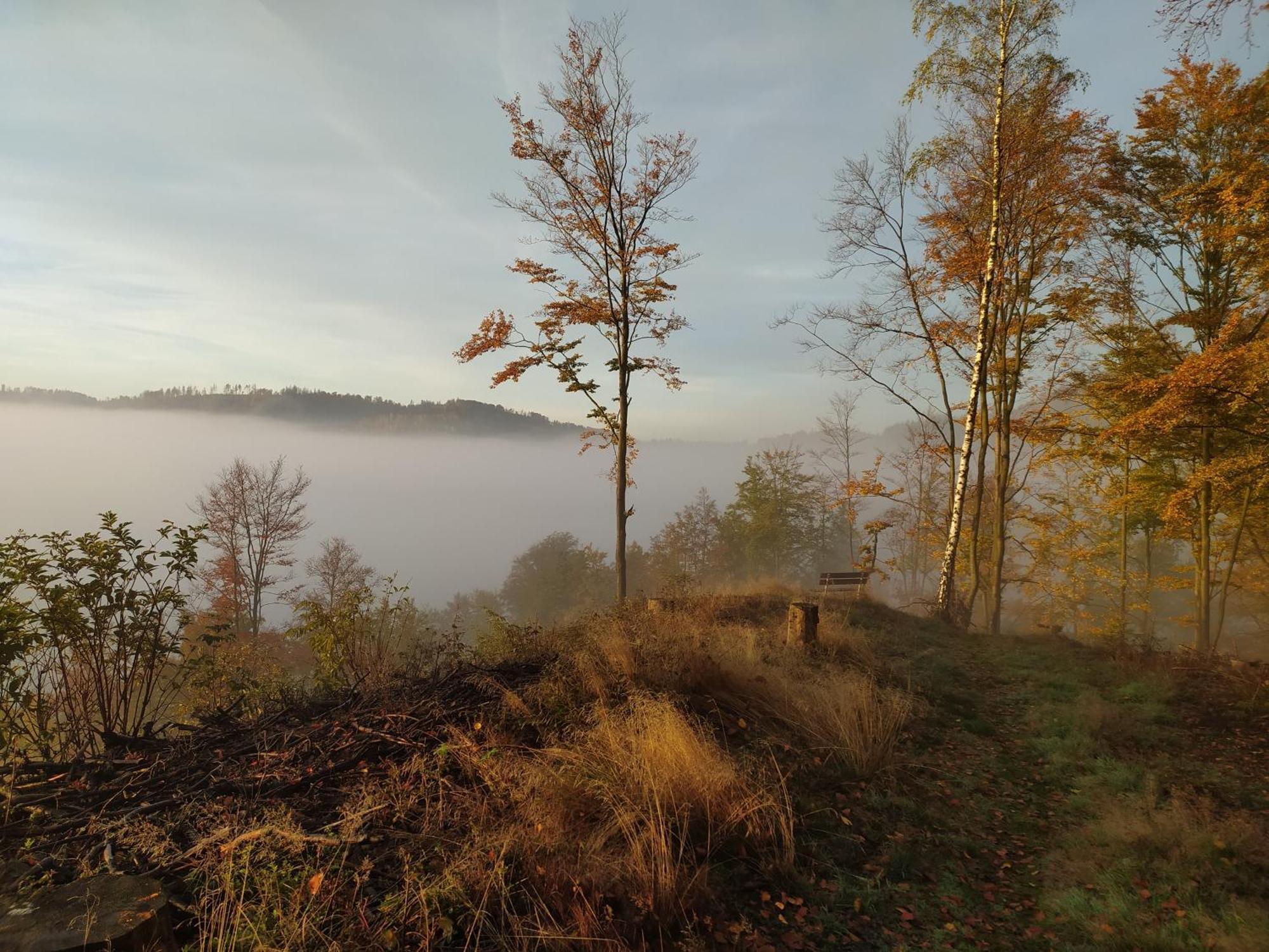 Ferienwohnung Steinachblick Steinach  Buitenkant foto