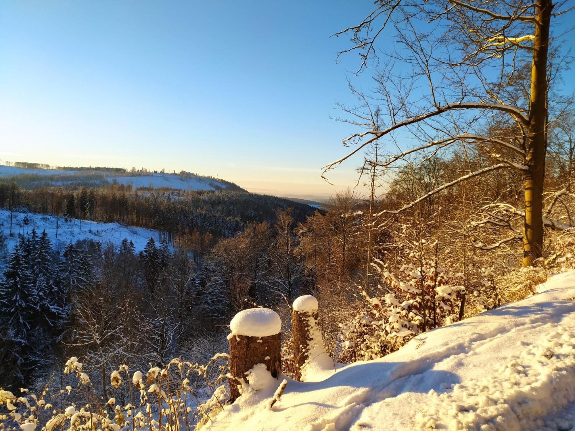 Ferienwohnung Steinachblick Steinach  Buitenkant foto